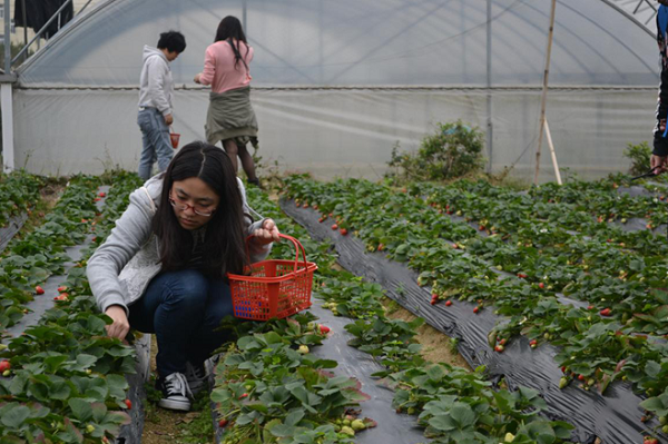 AG�콢�����ž�������Ա�������˶�